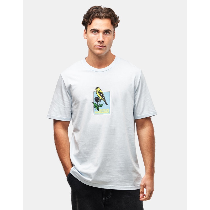 Avian Organic T-Shirt – Ice Blue