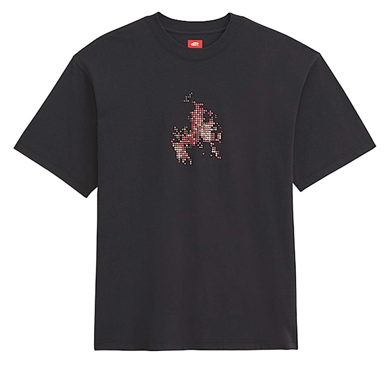 Vans Skate Flame T-Shirt – Black
 CCS